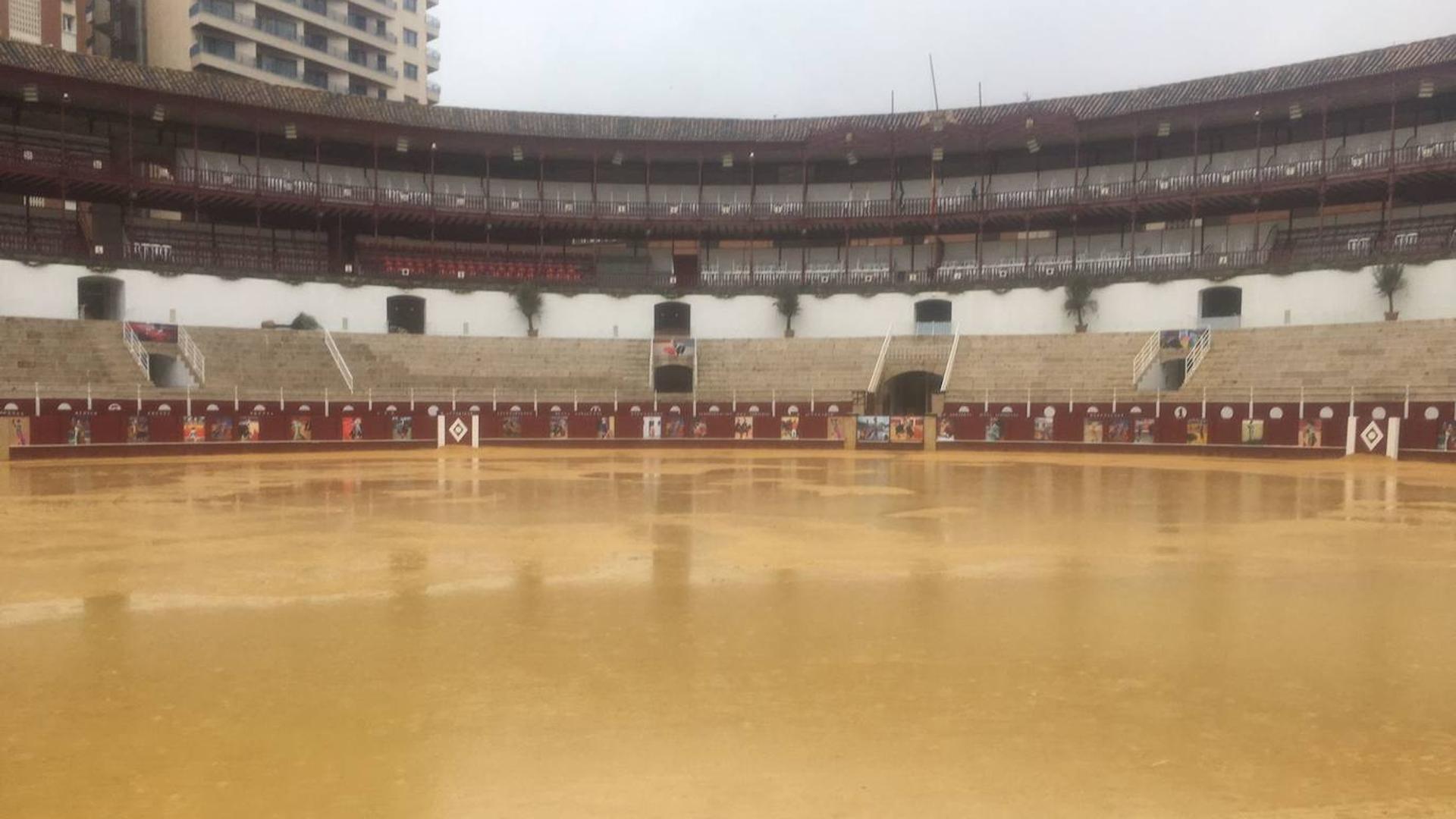 Suspendida la Corrida Picassiana de Málaga Diario Sur